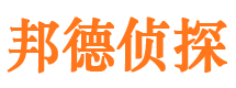 宁都市调查公司